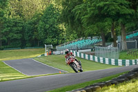 Evening Low_Mid Group Red Bikes